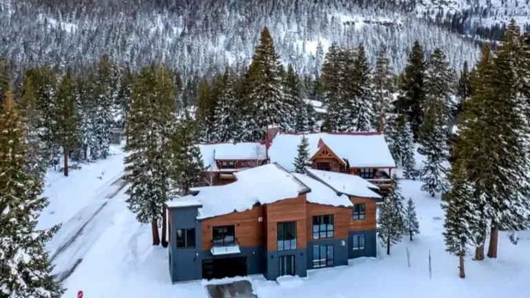 A modern wooden house covered in snow with a backdrop of evergreen trees and mountains.