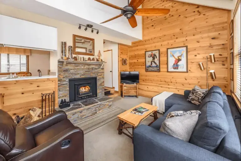Cozy living room with wood-paneled walls, a stone fireplace, a sofa, an armchair, a small TV, and vintage posters, connected to an open kitchen area.