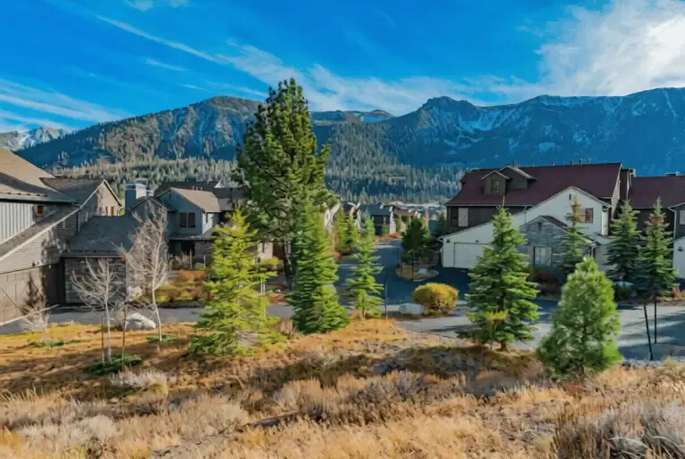 A suburban neighborhood with houses, trees, and shrubs set against a backdrop of forested mountains under a blue sky.