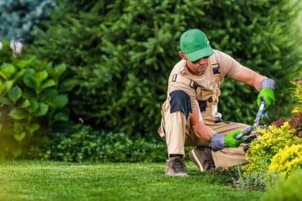 A man in a green hat cutting grass in a garden.